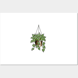 Hanging basket pothos Posters and Art